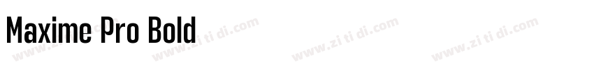 Maxime Pro Bold字体转换